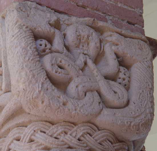 Foto Galleria Fotografica