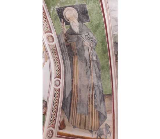 Foto Galleria Fotografica