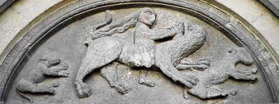 Foto Galleria Fotografica