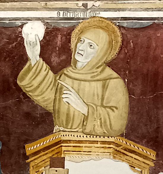 Foto Galleria Fotografica