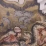 --Storie di San Fiorenzo dettaglio