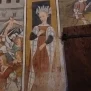 --Dama coronata