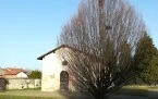--Caltignaga Sologno Chiesa dei Santi Nazario e Celso Foto 63