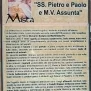 --Pannello illustrativo