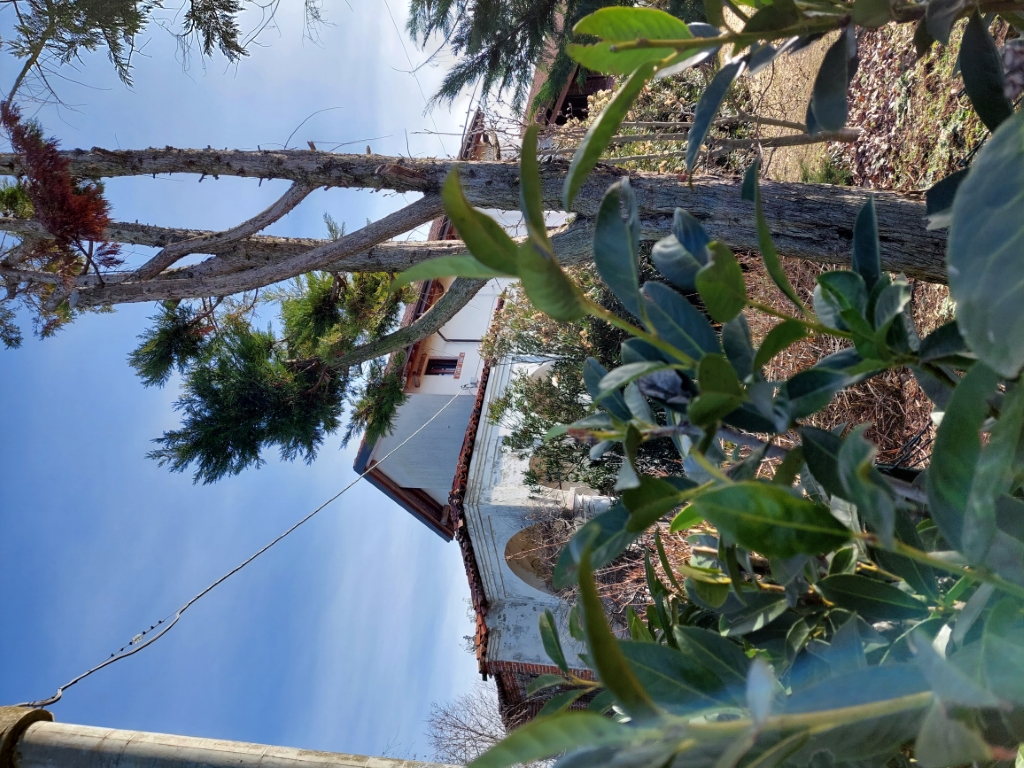 Oratorio di San Rocco - Mandello Vitta 