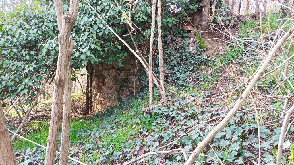 Resti Della Chiesa di San Lorenzo - Salussola 