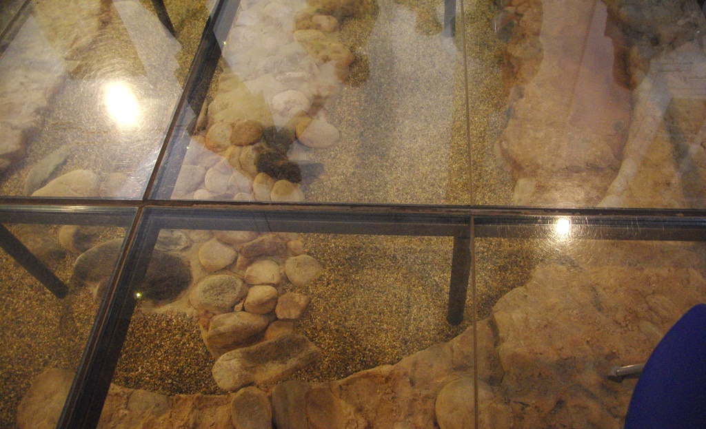 Resti Dell'abbazia di Santa Maria - Rivalta di Torino 