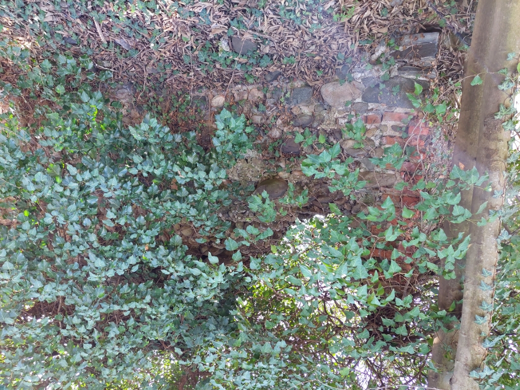 Resti Della Cappella di San Giacomo - Scarmagno 