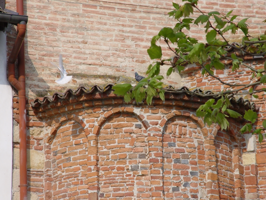 Chiesa di Santo Stefano - Castellazzo Bormida 