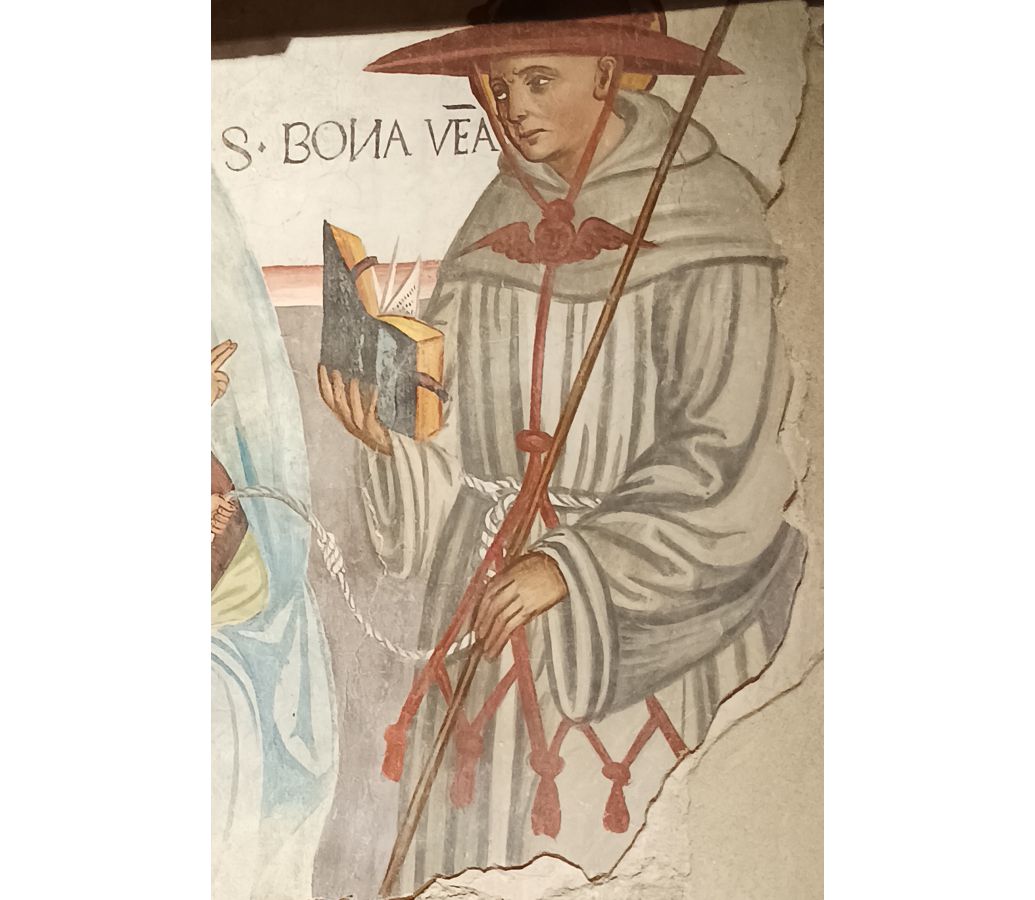 San Bonaventura da Bagnoregio - Cassine (AL) - San Francesco