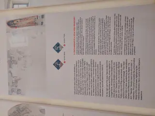 Pannello illustrativo - Priorato di San Biagio a MondovìFrazione San Biagio