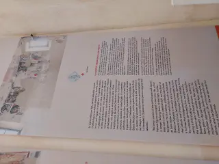 Pannello illustrativo - Priorato di San Biagio a MondovìFrazione San Biagio