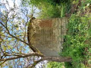 Abside e fianco destro - Chiesa di San Gottardo a Ottiglio