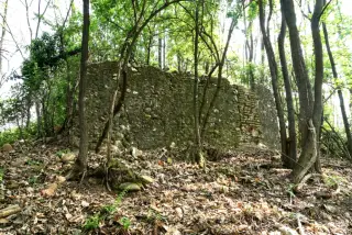 Parete Nord - Oratorio di San Pietro al Colle a BorgomaneroFrazione Cumiona