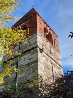 Campanile - Campanile di San Martino dei Campi a RivoliFrazione San Martino dei Campi