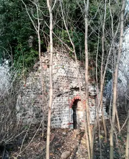Ruderi - Resti della Pieve di San Pellegrino di Puliaco a Salussola