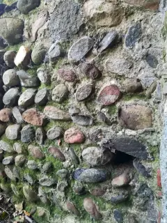 Ruderi - Resti della Pieve di San Pellegrino di Puliaco a Salussola