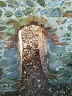 Ruderi - Resti della Pieve di San Pellegrino di Puliaco a Salussola