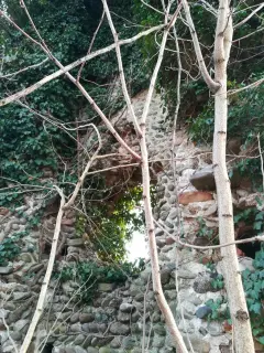 Ruderi - Resti della Pieve di San Pellegrino di Puliaco a Salussola