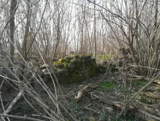 Ruderi - Resti Della Pieve di San Pellegrino di Puliaco a Salussola