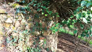 Resti dell'abside - Resti Della Chiesa di San Lorenzo a Salussola