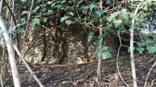 Resti dell'abside - Resti Della Chiesa di San Lorenzo a Salussola