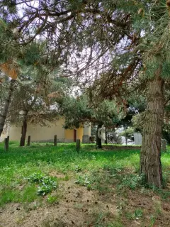 Fianco sinistro - Chiesa di San Marcellino a Sommariva Del Bosco