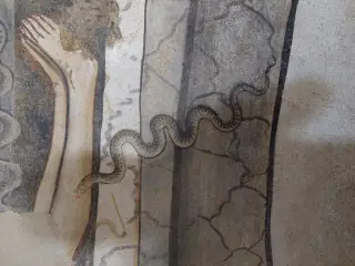 Serpente - Cappella o Santuario di Madonna Lunga o Vergine Assunta a Montanera