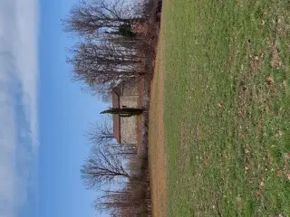 Vista - Pieve di San Michele Arcangelo a MalvicinoFrazione Prazzini