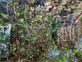 Abside - Resti Della Cappella di San Giacomo a Scarmagno