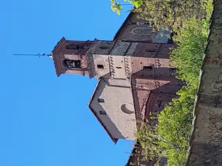 Abside e campanile - Chiesa e Convento di San Bernardino a Saluzzo