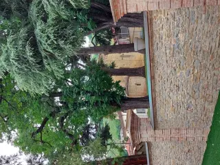 Vista absidale - Resti Dell'abbazia di San Gaudenzio a Santo Stefano Belbo