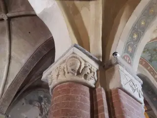 Capitello - Chiesa della Madonna di Viatosto o Maria Ausiliatrice a AstiFrazione Viatosto