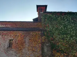 Fianco - Chiesa della Madonna di Cerniori o Santa Maria de Cerniori a RoasioFrazione Curavecchia