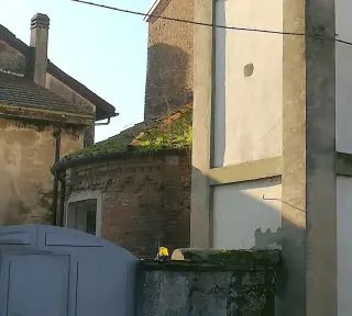 Abside - Chiesa di San Pietro Martire a Morano Sul Po