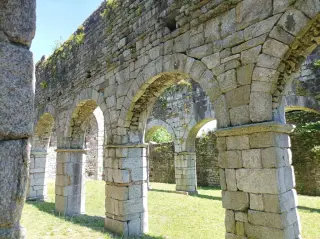 Resti interno - Resti Della Chiesa di San Martino a Gattico