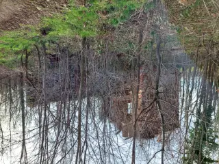 Vista - Oratorio di San Clemente a Barengo