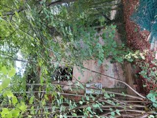 Fianco - Chiesa della Madonna della Consolata a BuscaFrazione Bianciotto