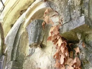 Scultura e capitello - Chiesa di San Marziano o Santa Agata a Viarigi