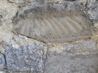 Particolare fregio di reimpiego nel fianco  sx - Pieve di Sant'Andrea a Cerreto d'AstiFrazione Casaglio