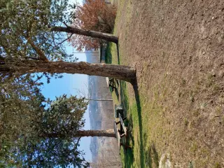Panorama - Chiesa della Madonna della Neve a Villafranca d'AstiFrazione Vulpilio