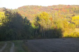 Vista - Cappella di San Michele a Passerano MarmoritoFrazione Primeglio