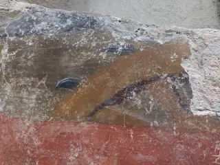 Santa Caterina dettaglio - Cappella di San Rocco a Brossasco