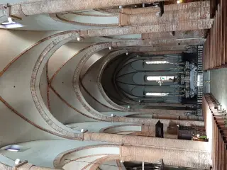 Navata centrale - Collegiata o Parrocchiale di San Pietro e Paolo a Carmagnola