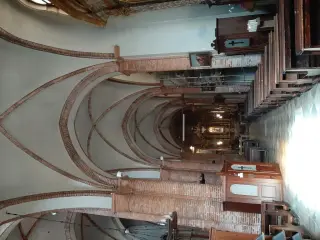 Navata destra - Collegiata o Parrocchiale di San Pietro e Paolo a Carmagnola