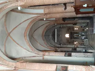 Navata sinistra - Collegiata o Parrocchiale di San Pietro e Paolo a Carmagnola