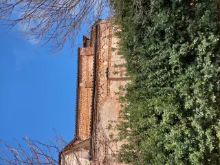 Fianco - Chiesa di San Giacomo a Giarole