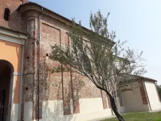 Fianco - Chiesa di San Firmino a Cercenasco