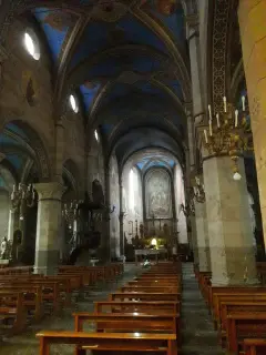 Interno - Parrocchiale dei Santi Michele e Pietro a Cavallermaggiore