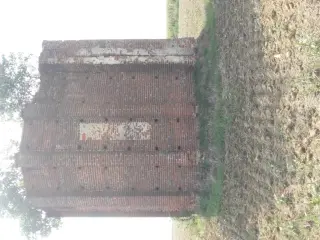 Fianco sinistro - Chiesa della Madonna del Buontempo o delle Grazie a Ceresole d'AlbaFrazione Novareisa